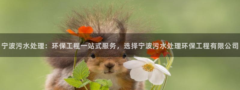 彩名堂旧版本：宁波污水处理：环保工程