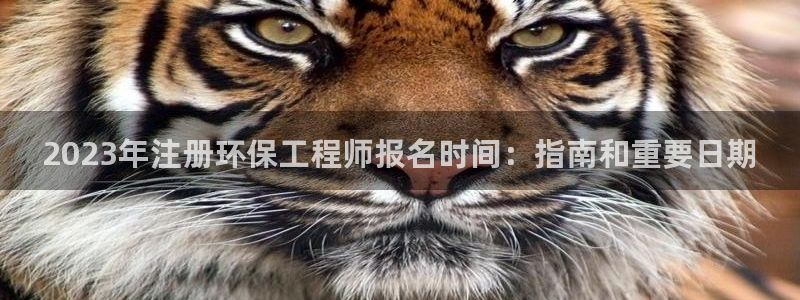 彩名堂好用还是千里马好用：2023年
