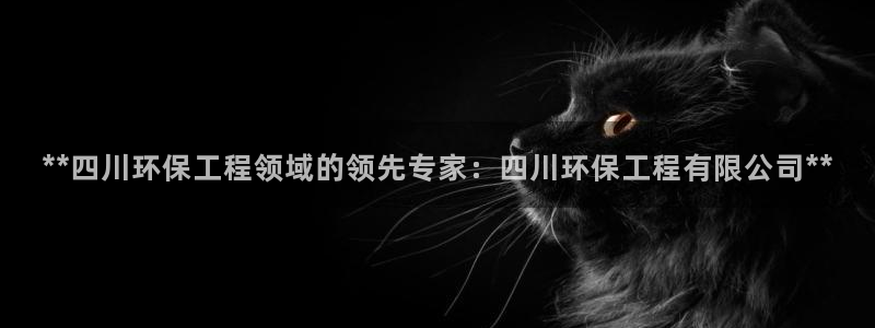 彩名堂双彩网：**四川环保工程领域的