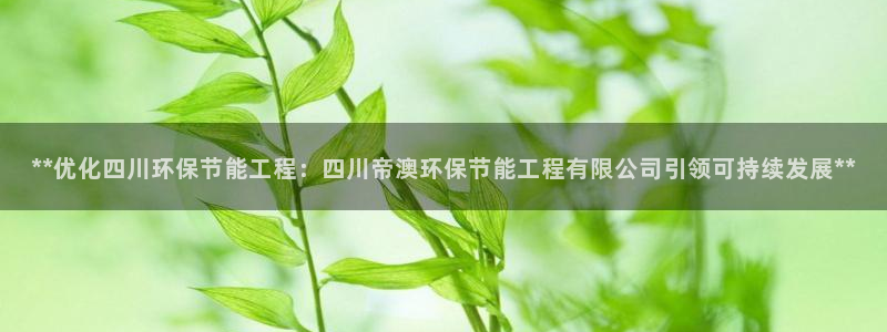 彩名堂的拼音：**优化四川环保节能工