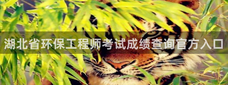 彩名堂4.3：湖北省环保工程师考试成