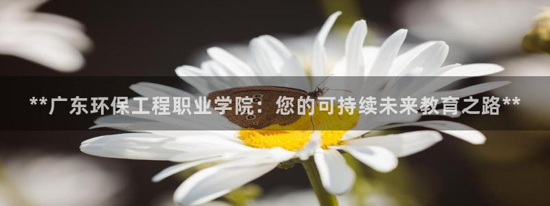 彩名堂怎么选稳定计划：**广东环保工