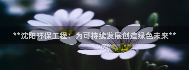 彩名堂加拿大怎么买准确率高：**沈阳