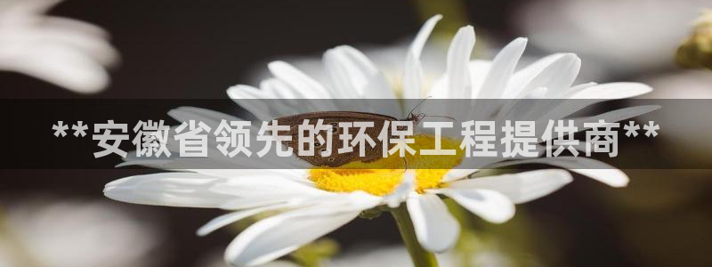 彩名堂.netnet：**安徽省领先