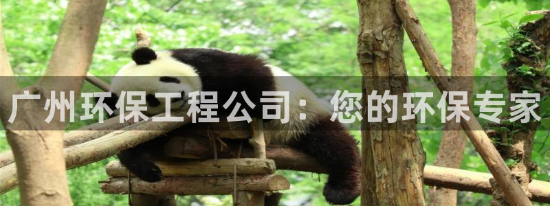 彩名堂客服：广州环保工程公司：您的环