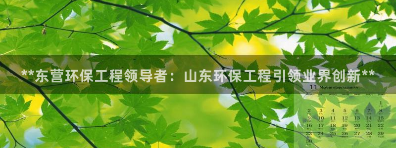 彩名堂人工预测免费计划：**东营环保