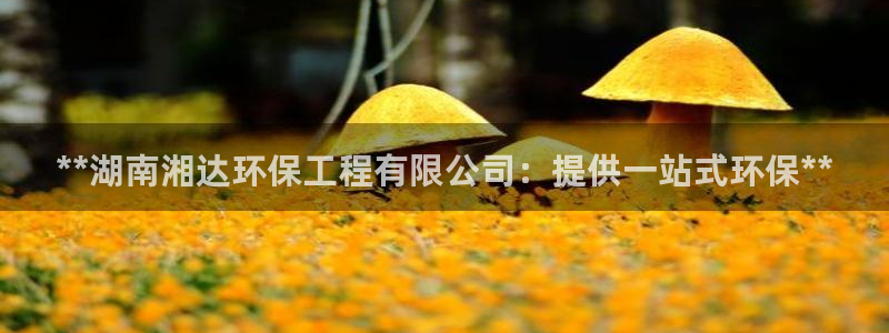 彩名堂预测网站：**湖南湘达环保工程