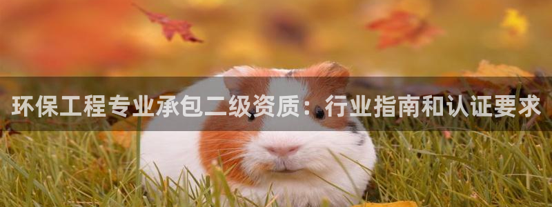 彩名堂还能用吗：环保工程专业承包二级