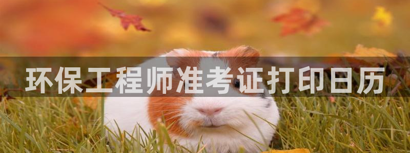 彩名堂预测软件：环保工程师准考证打印