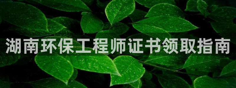 彩名堂官网计划：湖南环保工程师证书领取指南
