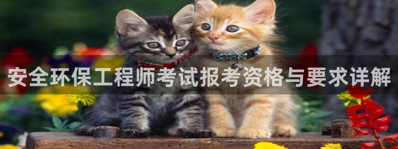 彩名堂计划怎么出的：安全环保工程师考试报考资格与要求详解