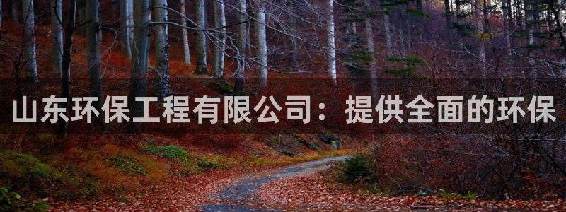 彩名堂app官网：山东环保工程有限公司：提供全面的环保