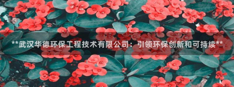 彩名堂4.3：**武汉华德环保工程技