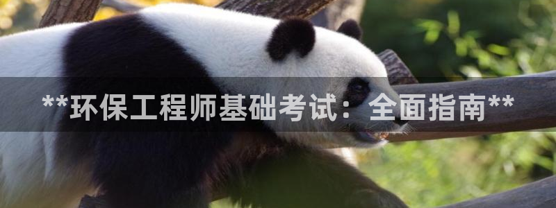 彩名堂官方软件下载：**环保工程师基