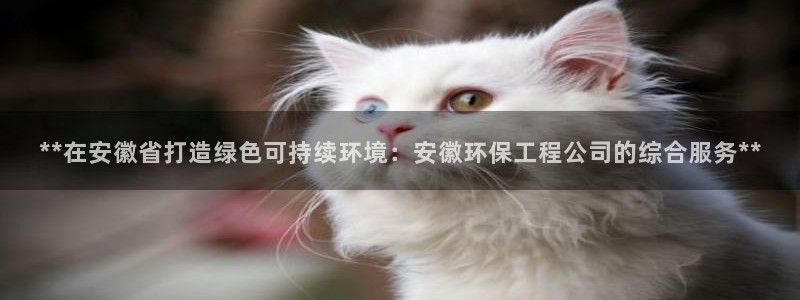 下载彩名堂预测计划软件安卓：**在安徽省打造绿色可持续环境：安徽环保工程公司的综合服务**