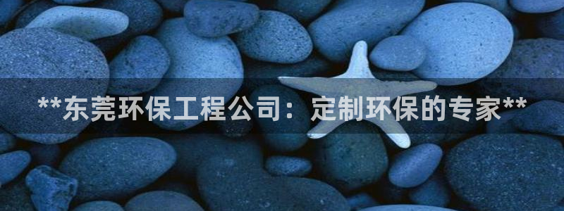 彩名堂计划怎么出的：**东莞环保工程