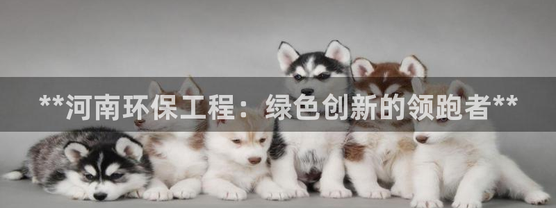 彩名堂手机客户端怎么进不去了：**河