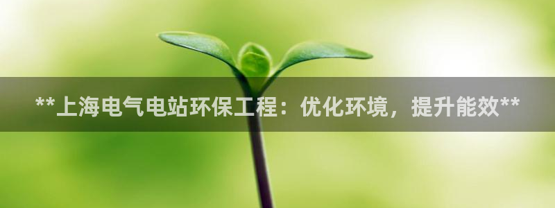 彩名堂预测免费计划：**上海电气电站环保工程：优化环境，提升能效**