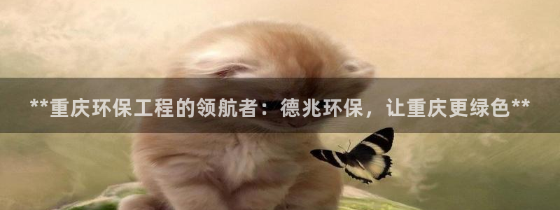 彩名堂安卓客户端官网下载安装：**重