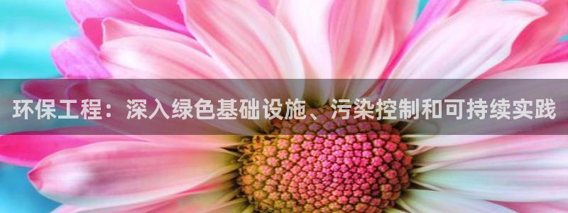 彩名堂.netnet：环保工程：深入