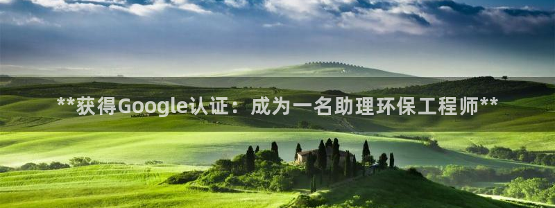 彩名堂客户端官网：**获得Googl