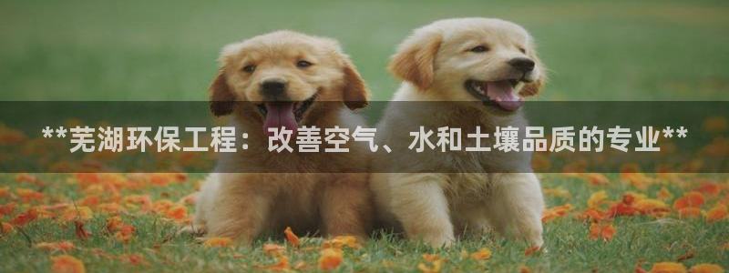 彩名堂跟哪种最好用：**芜湖环保工程