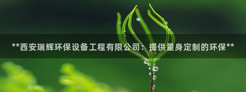 彩名堂免费计划亮点：**西安瑞辉环保