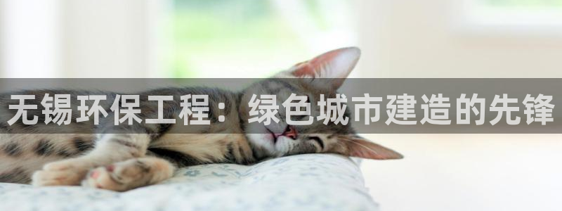 彩名堂客服电话号码：无锡环保工程：绿