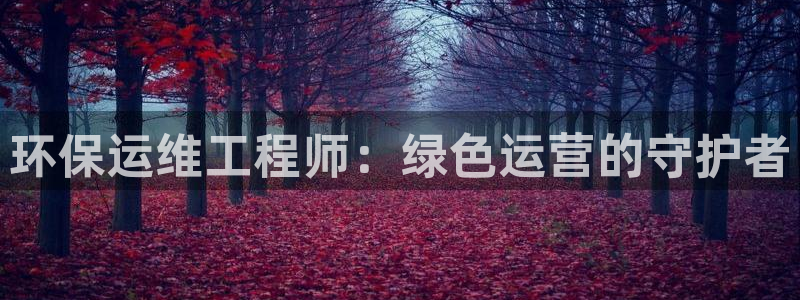彩名堂计划技巧：环保运维工程师：绿色