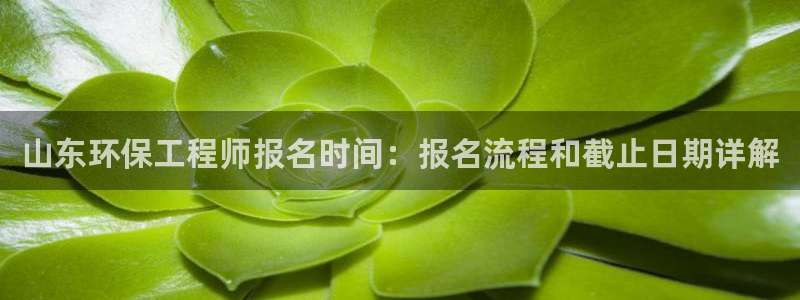 彩名堂在线下载：山东环保工程师报名时