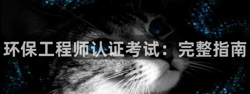 彩名堂怎么样：环保工程师认证考试：完
