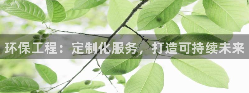 彩名堂图片：环保工程：定制化服务，打