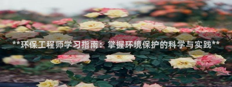 彩名堂的拼音：**环保工程师学习指南