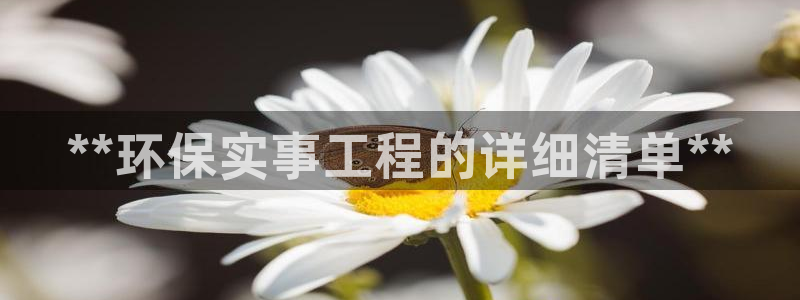 彩名堂用不了：**环保实事工程的详细