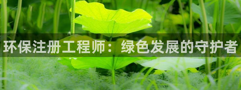 彩名堂为什么突然不能用了：环保注册工