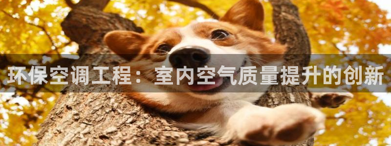 彩名堂怎么样：环保空调工程：室内空气质量提升的创新