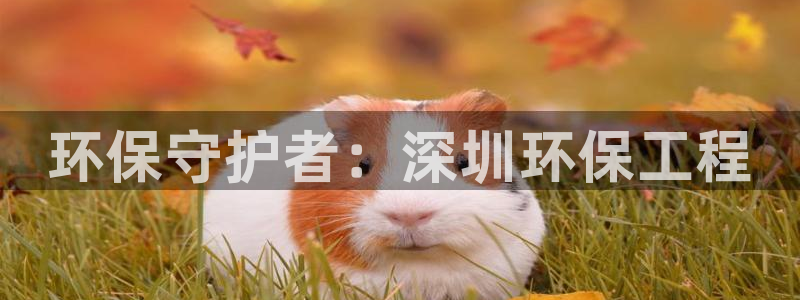 彩名堂官网计划01：环保守护者：深圳