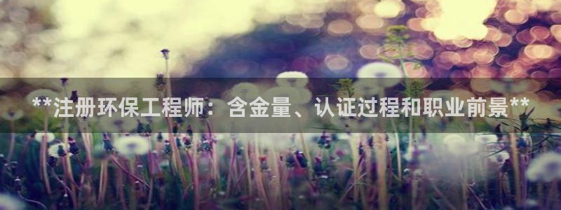 老版本彩名堂计划软件：**注册环保工程师：含金量、认证过程和职业前景**