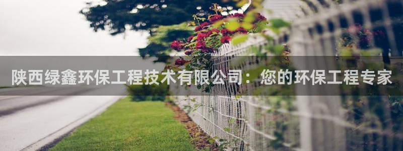 彩名堂为什么打不开：陕西绿鑫环保工程