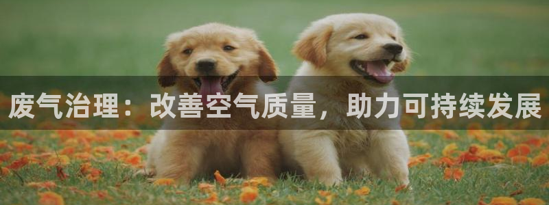 彩名堂50版本计划：废气治理：改善空气质量，助力可持续发展
