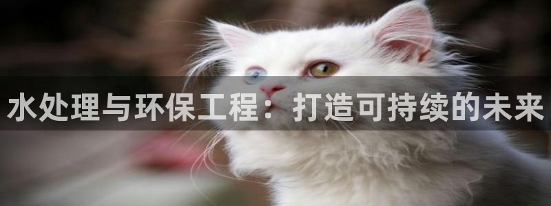 彩名堂平台：水处理与环保工程：打造可