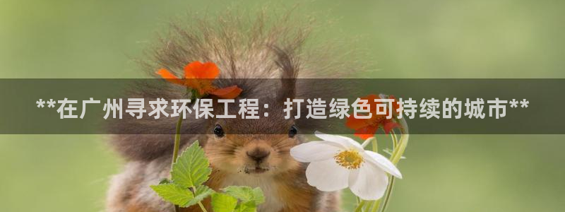 彩名堂怎么跟计划才不连挂在一起：**