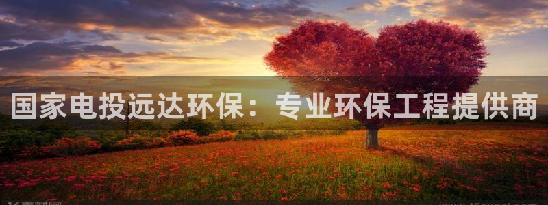 彩名堂计划怎么跟不挂：国家电投远达环