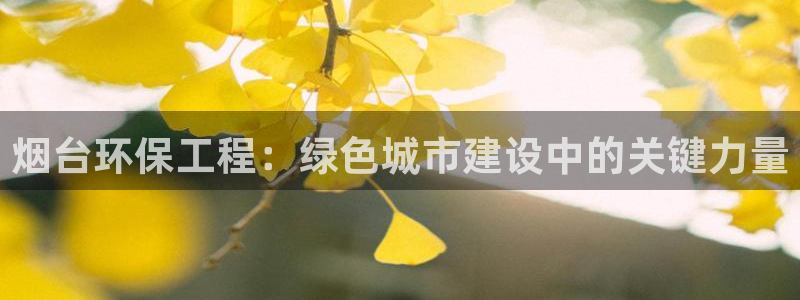 彩名堂免费计划官网5.0版下载链接：烟台环保工程：绿色城市建设中的关键力量