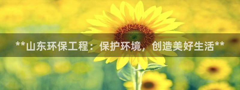 彩名堂客户：**山东环保工程：保护环