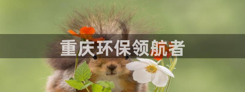 彩名堂是正规的公司吗：重庆环保领航者