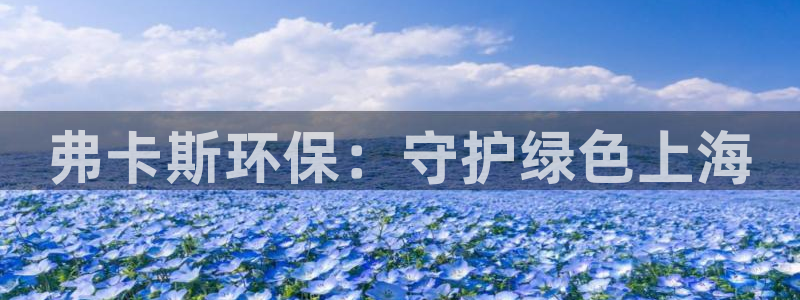 彩名堂好用还是千里马好用一点：弗卡斯