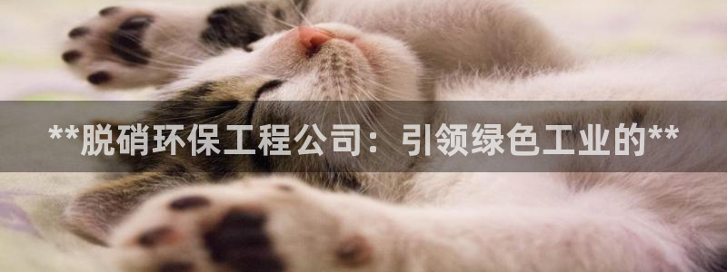 彩名堂官网：**脱硝环保工程公司：引