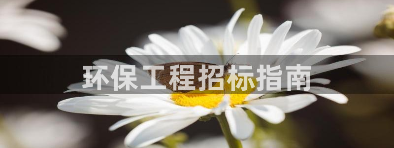彩名堂计划官方客服：环保工程招标指南