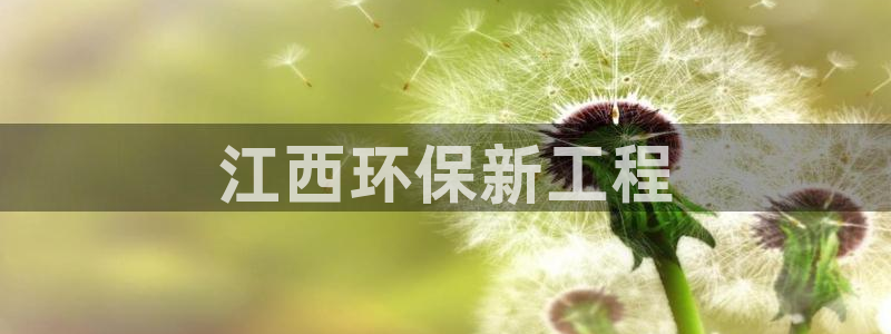 为什么彩名堂今天不能用：江西环保新工